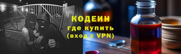 прущие грибы Ачинск