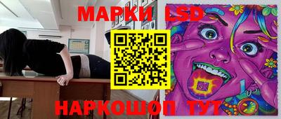 индика Бийск