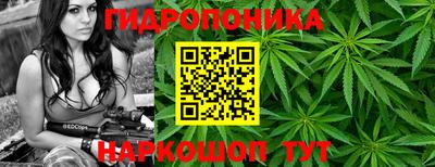 амф Гай