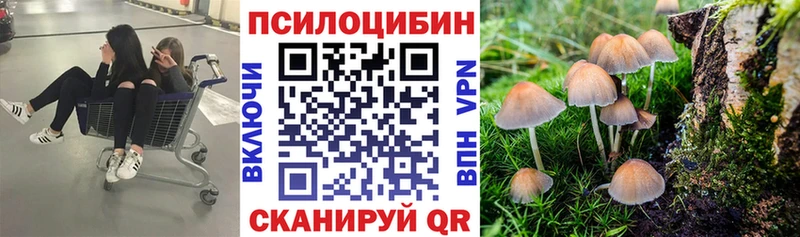 гидра ONION  магазин продажи   Звенигород  Псилоцибиновые грибы Cubensis 