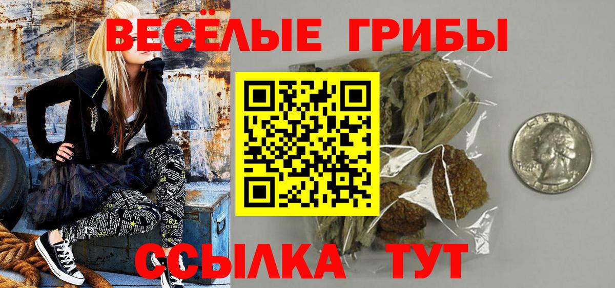 Псилоцибиновые грибы Psilocybine cubensis  Псилоцибиновые грибы мицелий  Звенигород  Вход с VPN 